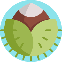 Chestnut icon