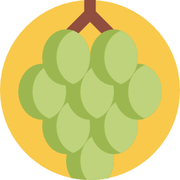 Grape icon