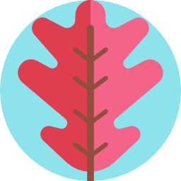 Leaf icon