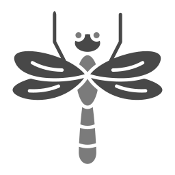 Dragonfly icon