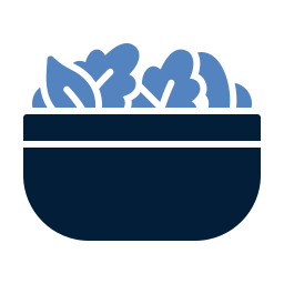 Salad icon