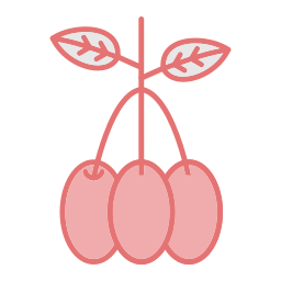 prugna di giava icona