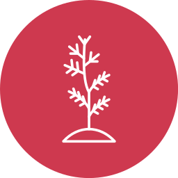 baum einpflanzen icon