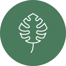 monstera icon