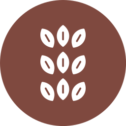 Sesame icon