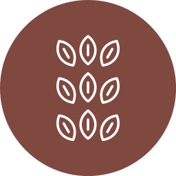 Sesame icon