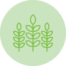 Plant leaf icon