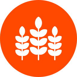 Plant leaf icon