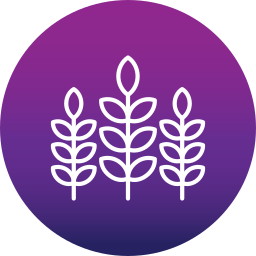 Plant leaf icon