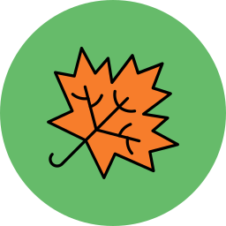 Maple leaf icon