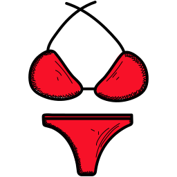 Bra icon