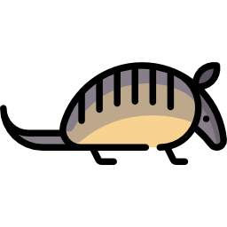 armadillo icona