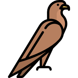 Eagle icon