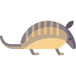 armadillo icona