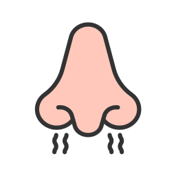 Nose icon