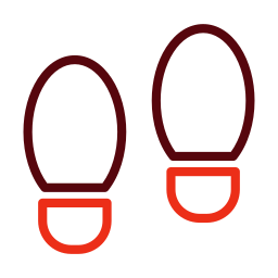 Footprint icon