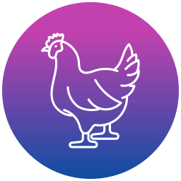 Chicken icon