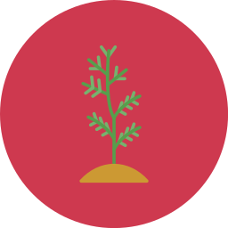 baum einpflanzen icon