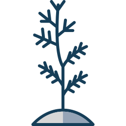 baum einpflanzen icon