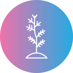 Plant tree icon