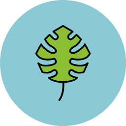 monstera icon