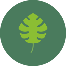 monstera icon