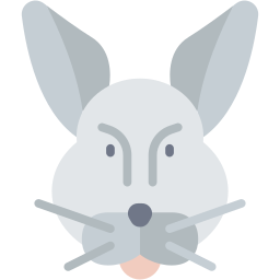 lapin Icône