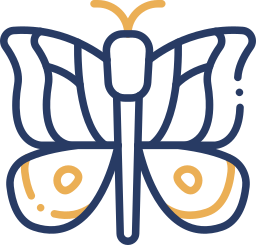 Butterfly icon