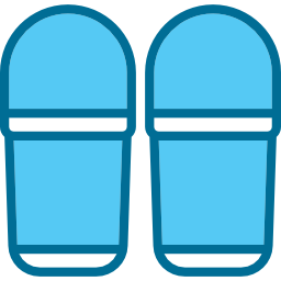 Flip flops icon