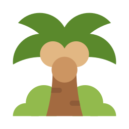 Coconut tree icon