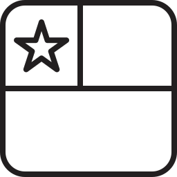 Flag icon