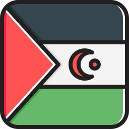 flagge icon