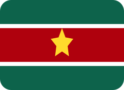 Flag icon