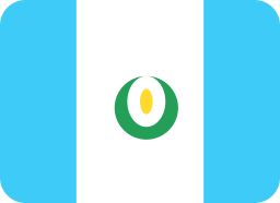 Flag icon