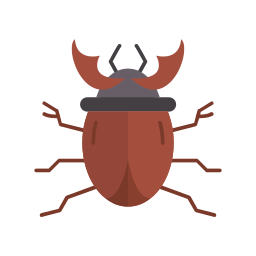 Beetle icon