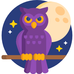 Owl icon