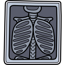 X ray icon