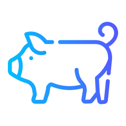 Pig icon