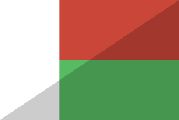 flagge icon