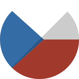 flagge icon