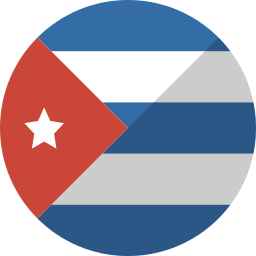 flagge icon