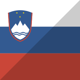 vlag icoon