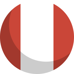 Flag icon