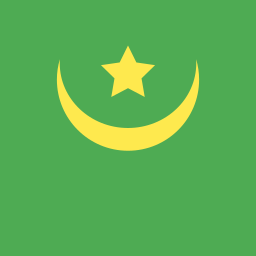 flagge icon