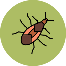 Bug icon