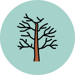 argan icon