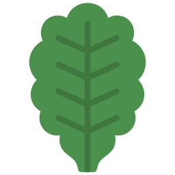 Kale icon