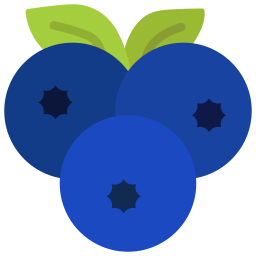 Blueberries icon