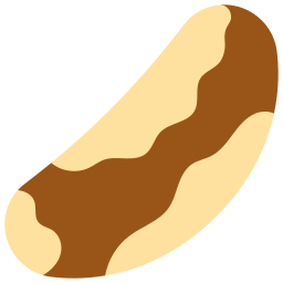 Brazil nuts icon