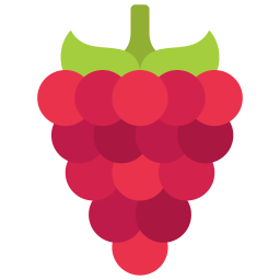 Grape icon